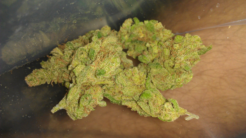 Illustration for article titled The Stoner Channel: Win Green for Green, Join the Navy, and Trip Out on 'Shrooms